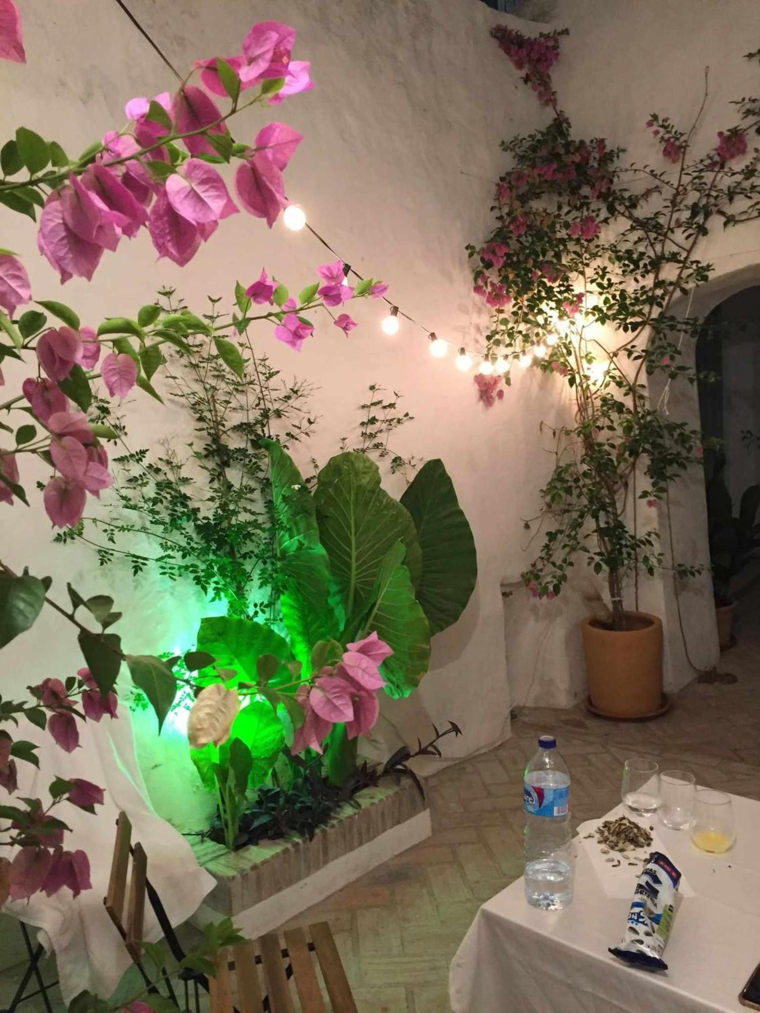 베예데라프론테라 Antiqua Centro De Vejer Con Wifi Grupo Ac Gestion 빌라 외부 사진