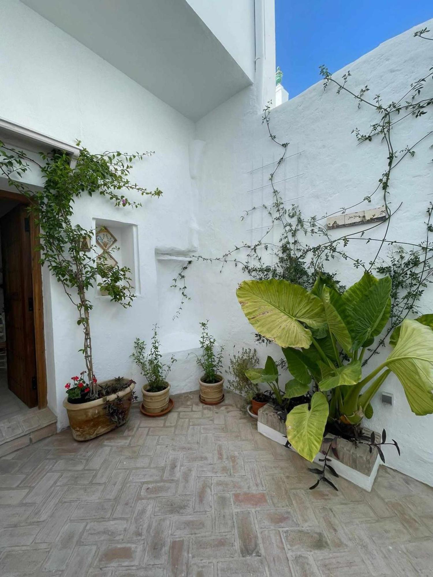 베예데라프론테라 Antiqua Centro De Vejer Con Wifi Grupo Ac Gestion 빌라 외부 사진